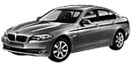 BMW F10 C213F Fault Code